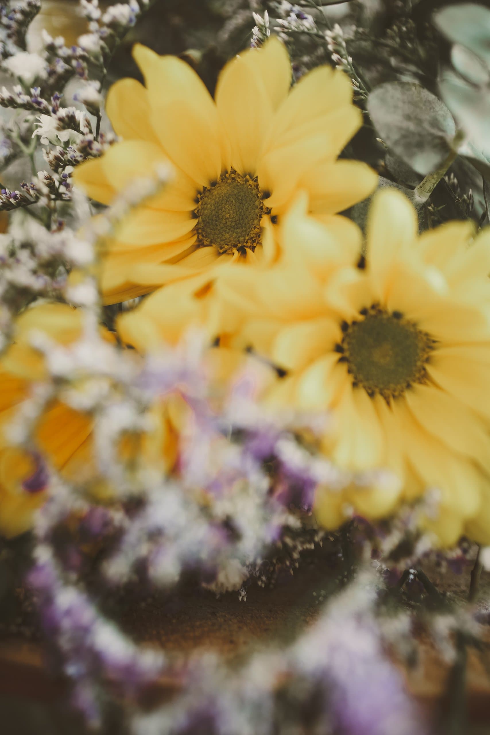 Maggie & Cassie wedding in crested butte — IMG_0038