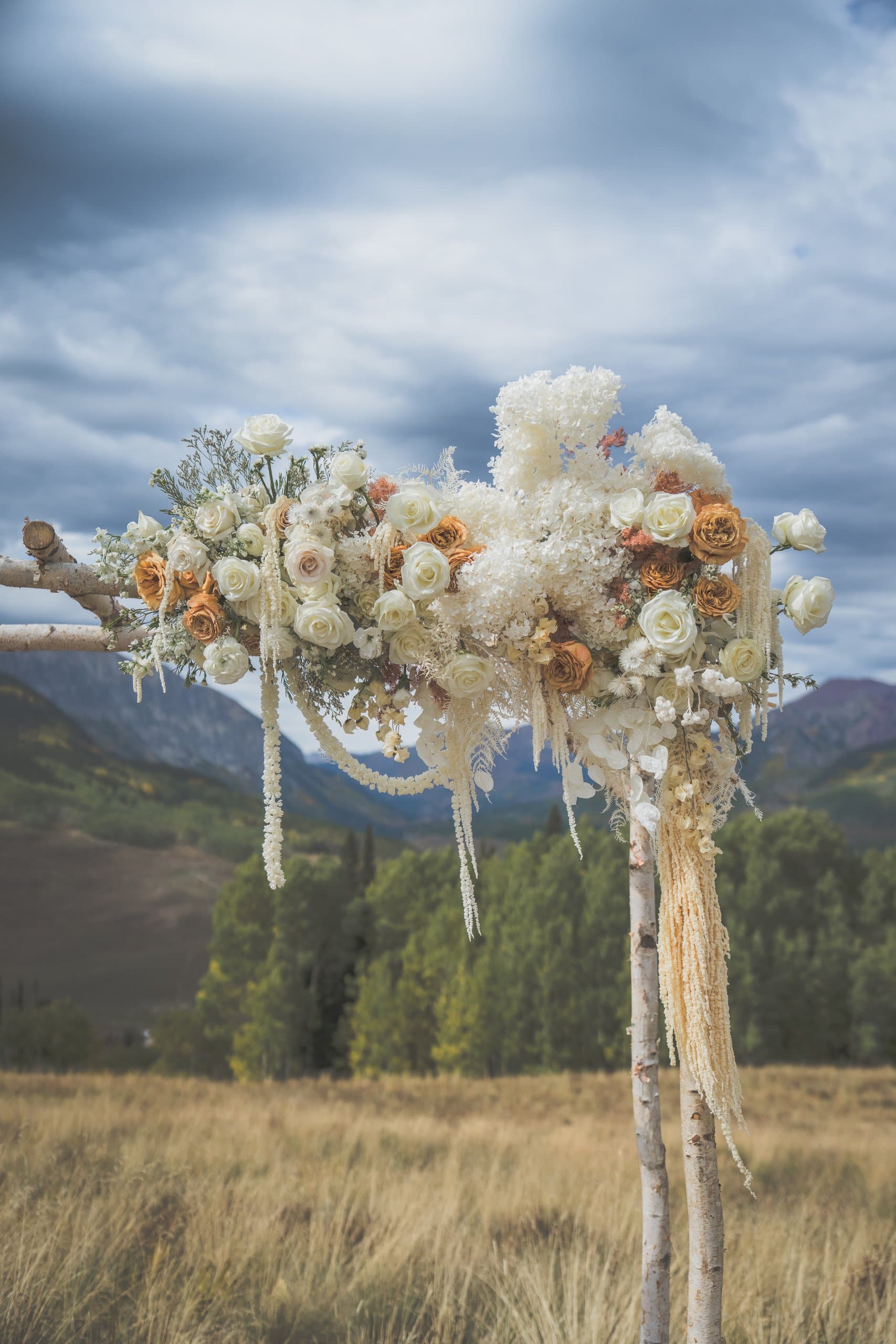McKinley & Adam wedding in crested butte — 0340_DSC05060