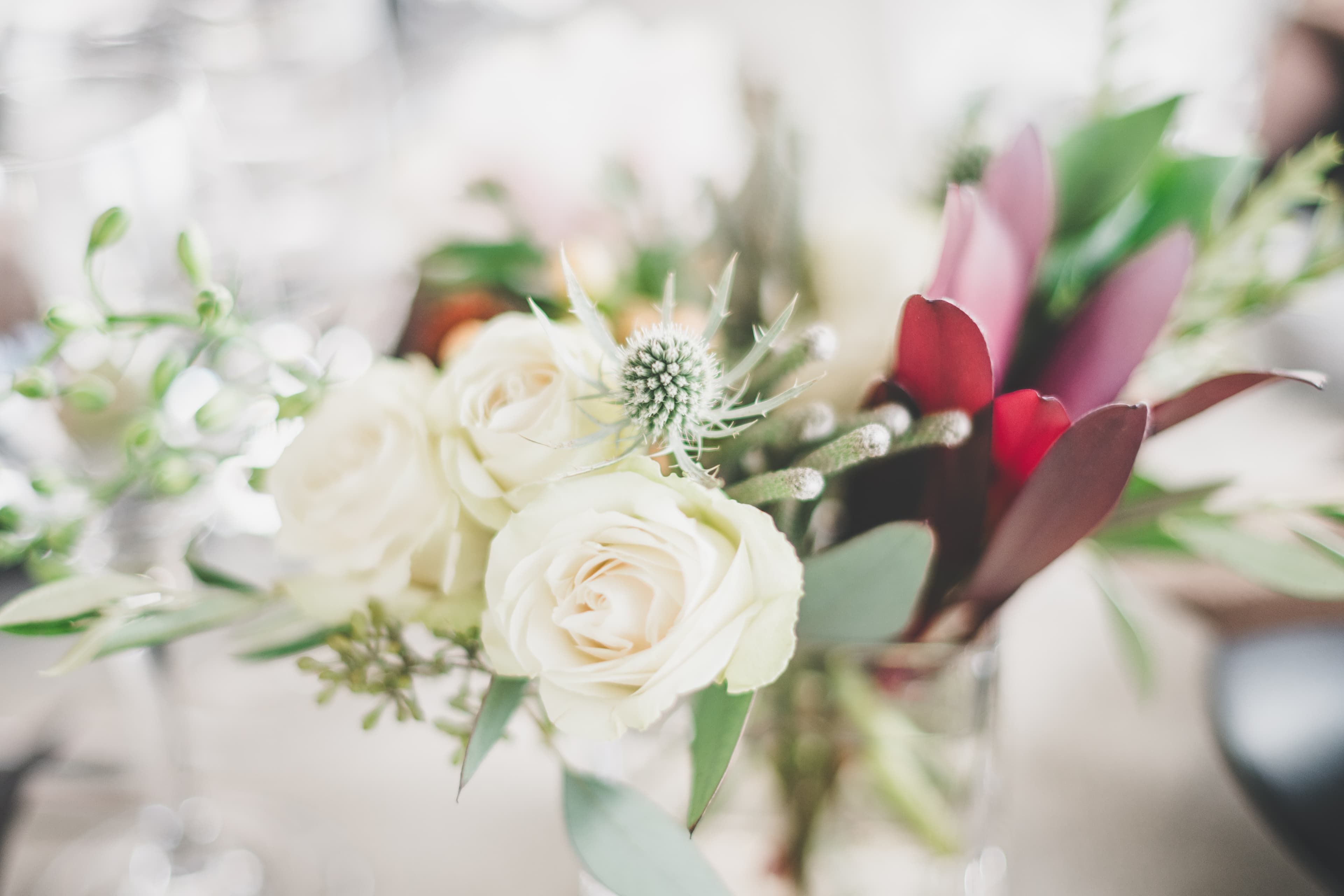 Floral arrangement of white roses, eryngium thistle and leucadendron from Greg and John's reception