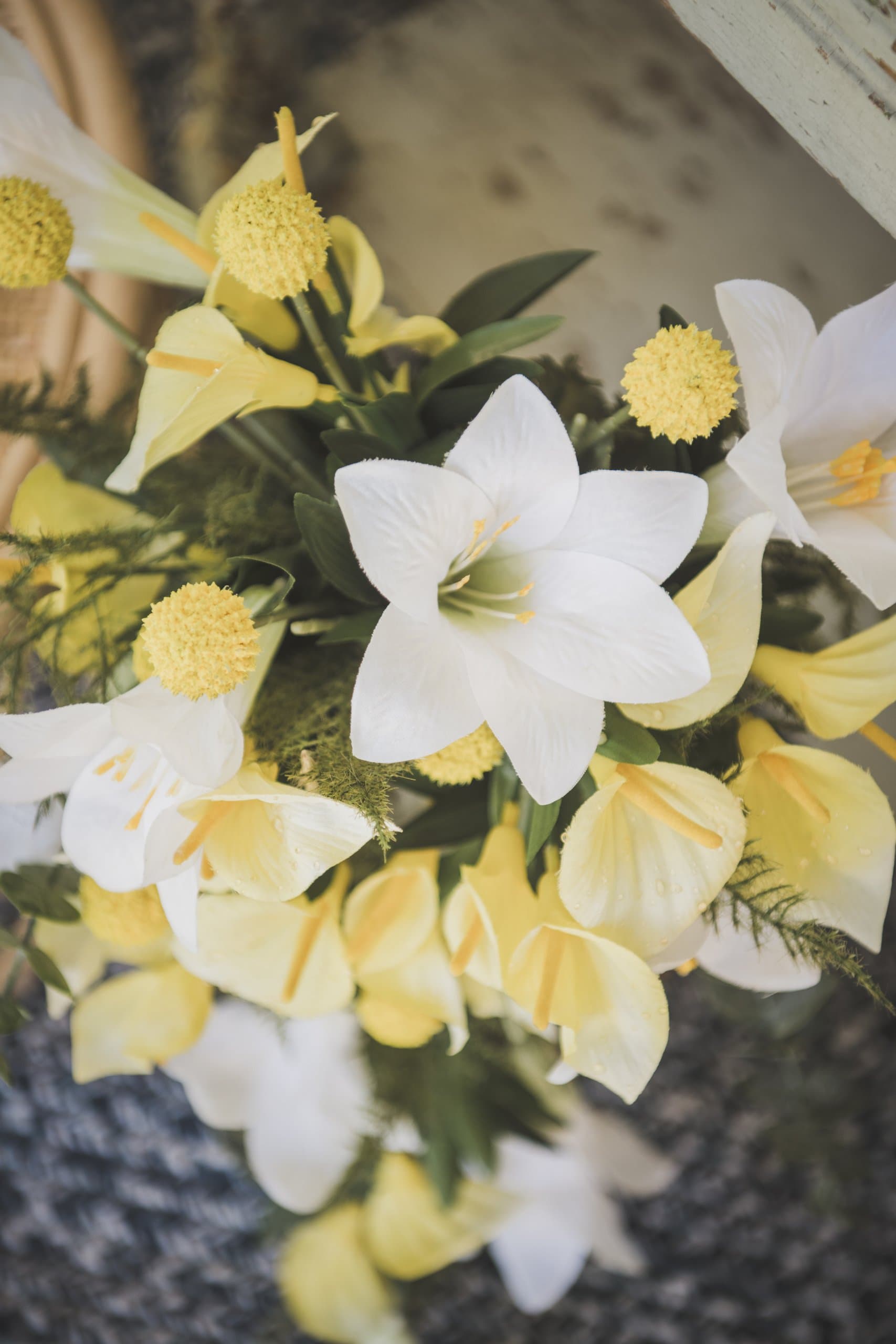 Leah & Shree wedding in glacier — 0011MAM_9626