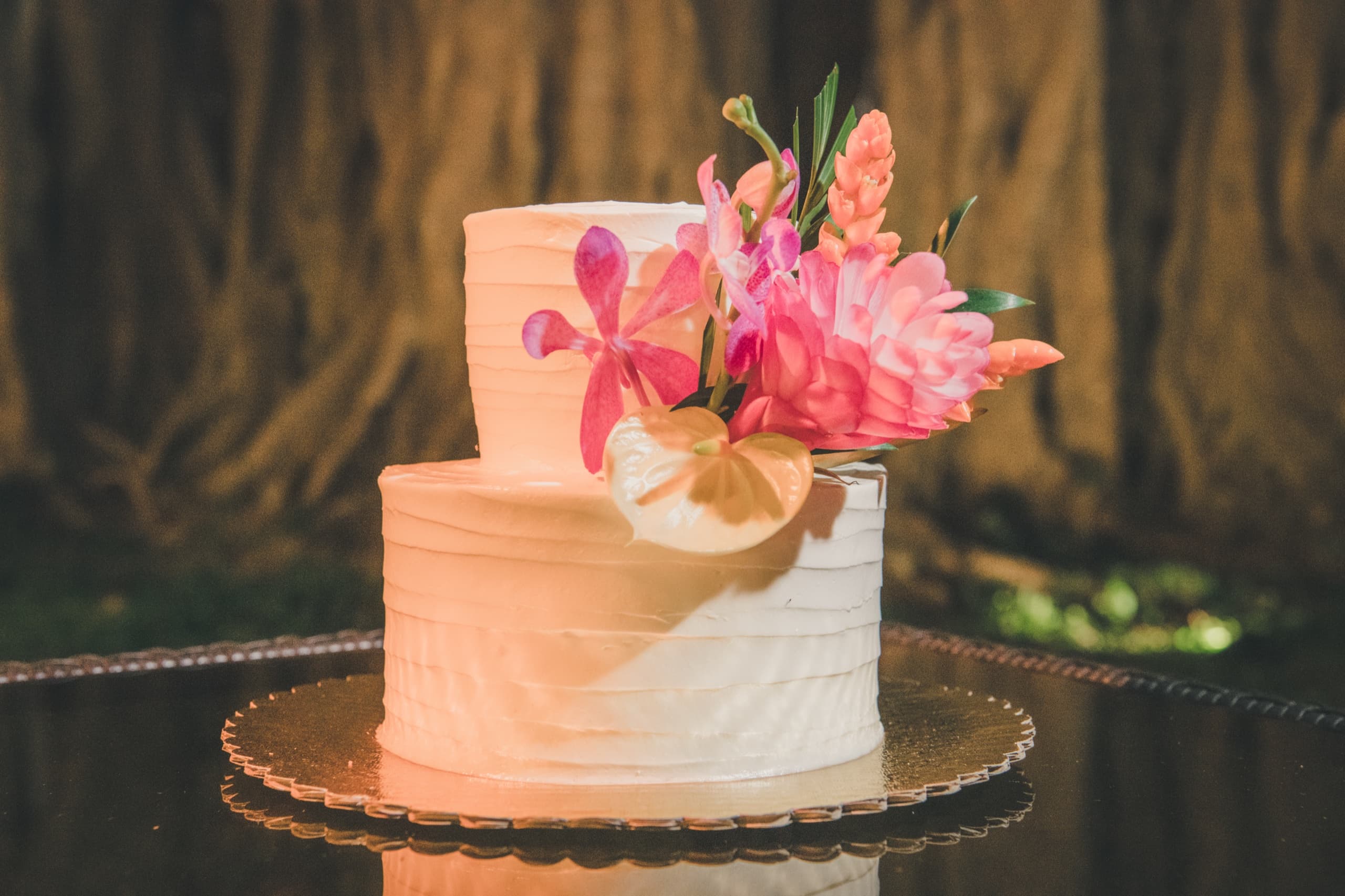 Two-tier wedding cake with tropical orchids and anthurium against the banyan trunk at Erin and Kenny's reception