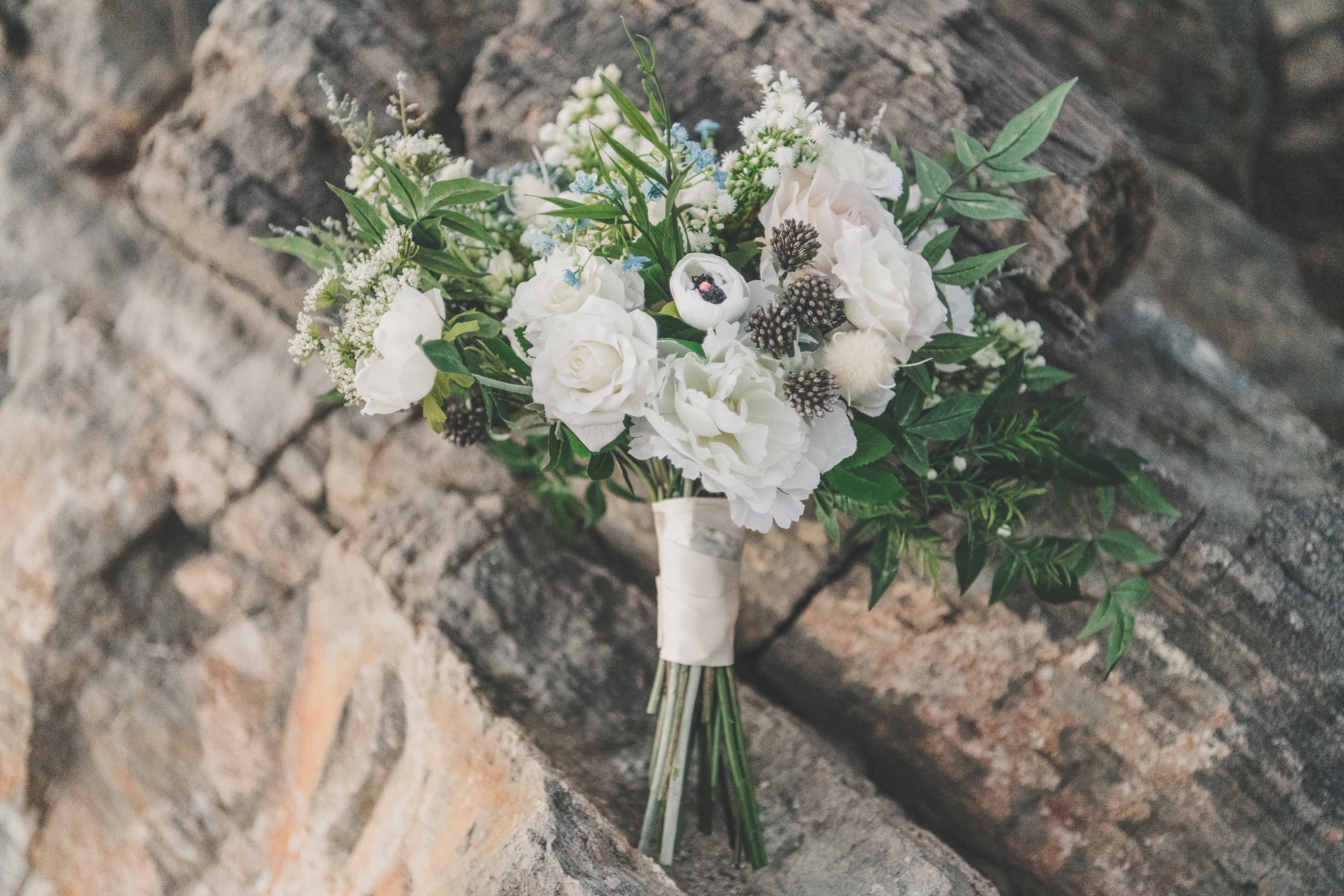 Hana and Chris Mammoth wedding — final portrait in the Eastern Sierra Nevada