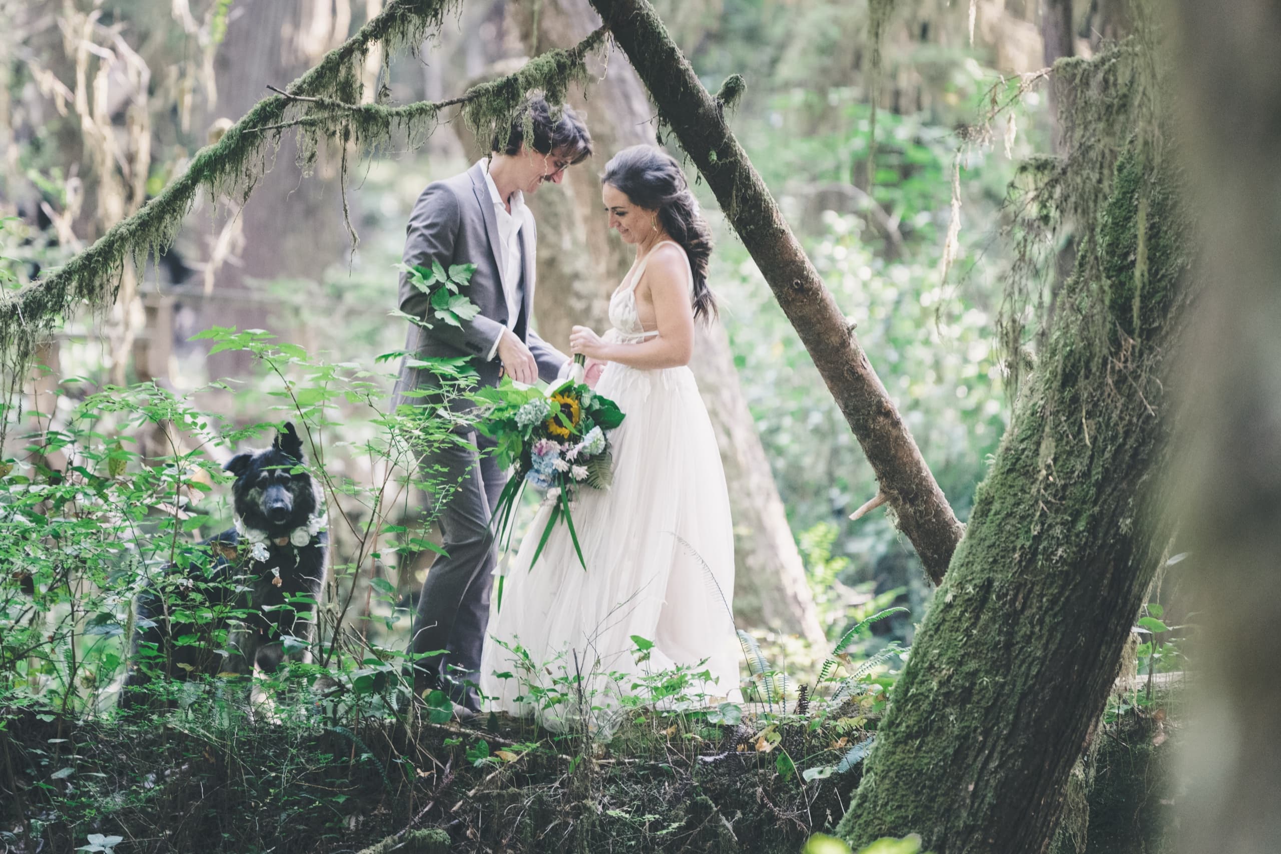 Rachel and Peter share a quiet moment in the mossy Tofino rainforest, their dog watching