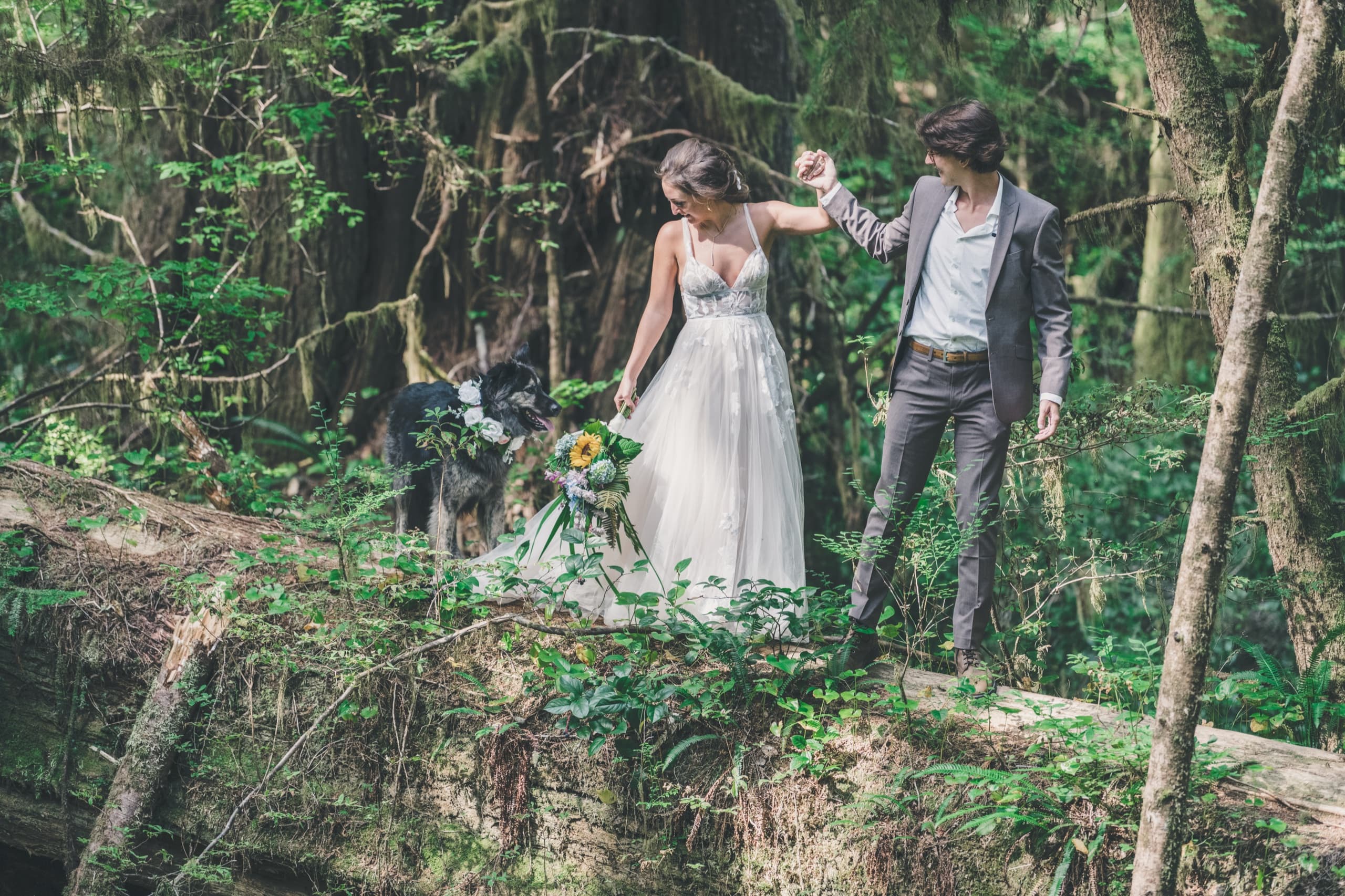 Rachel and Peter on a mossy fallen log in the rainforest, hands raised playfully