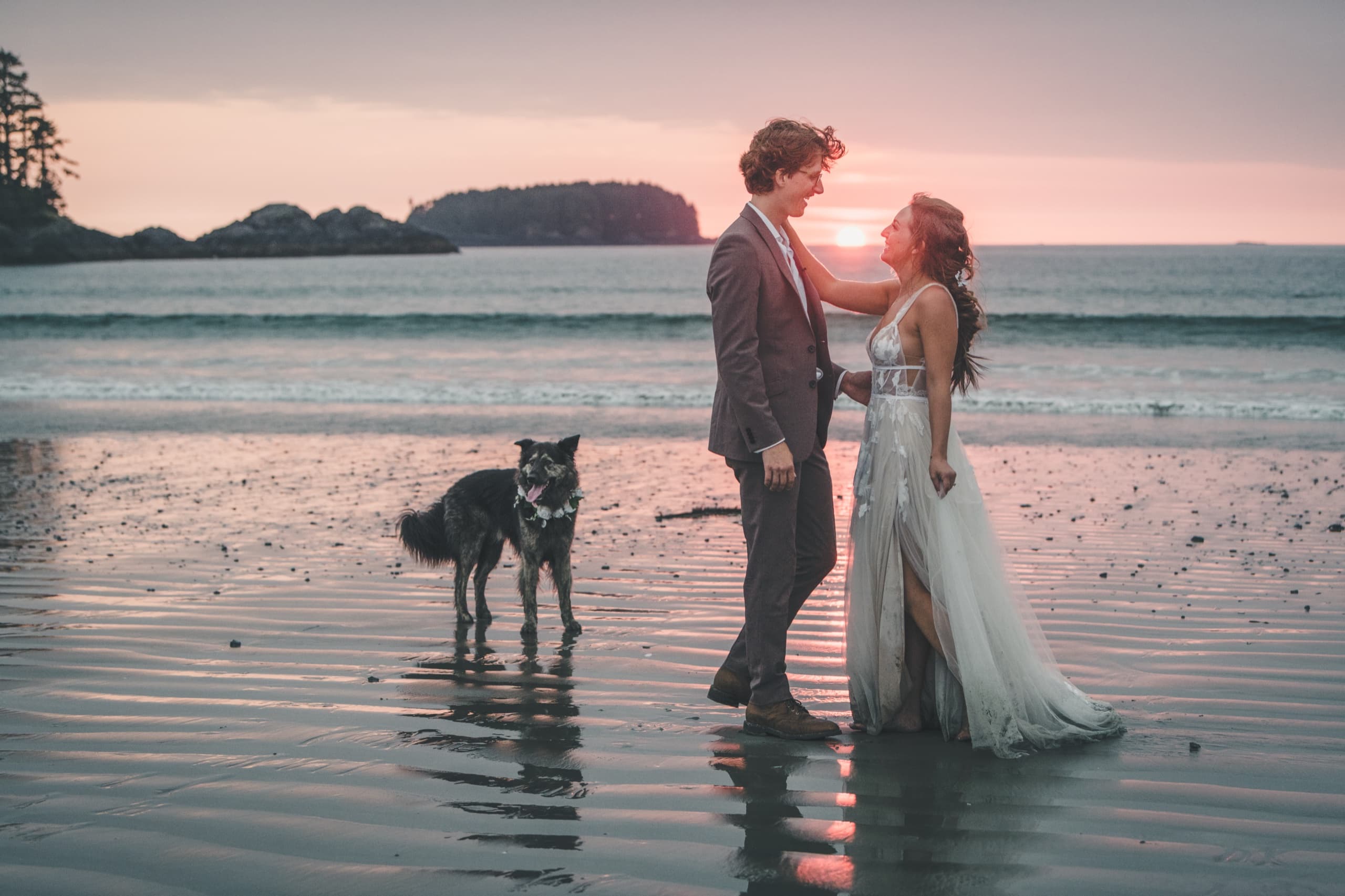 Rachel and Peter standing in the shallow tide at sunset with their dog, soft pastel reflections