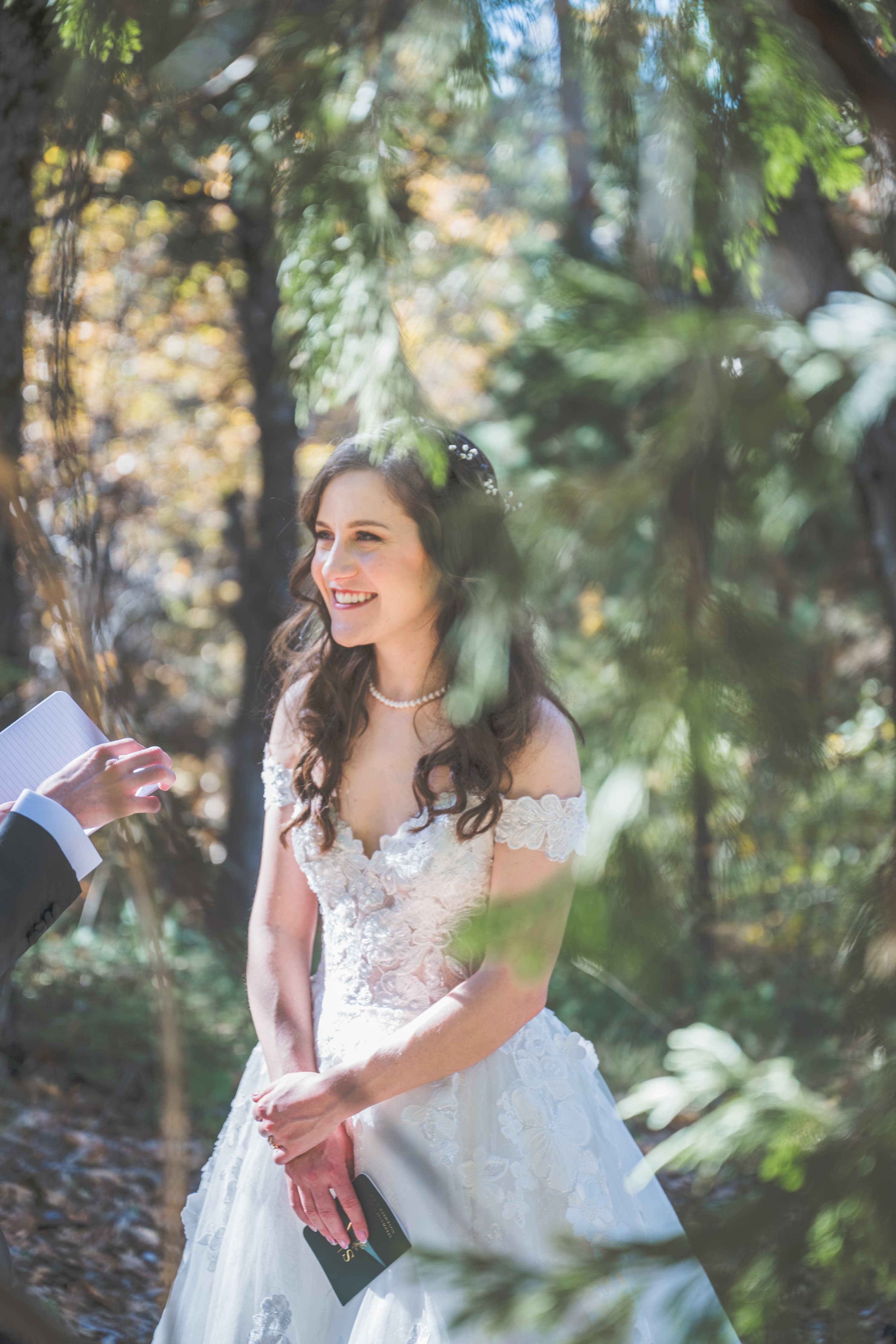 Adam and Steph wedding portrait — Yosemite valley and towering granite