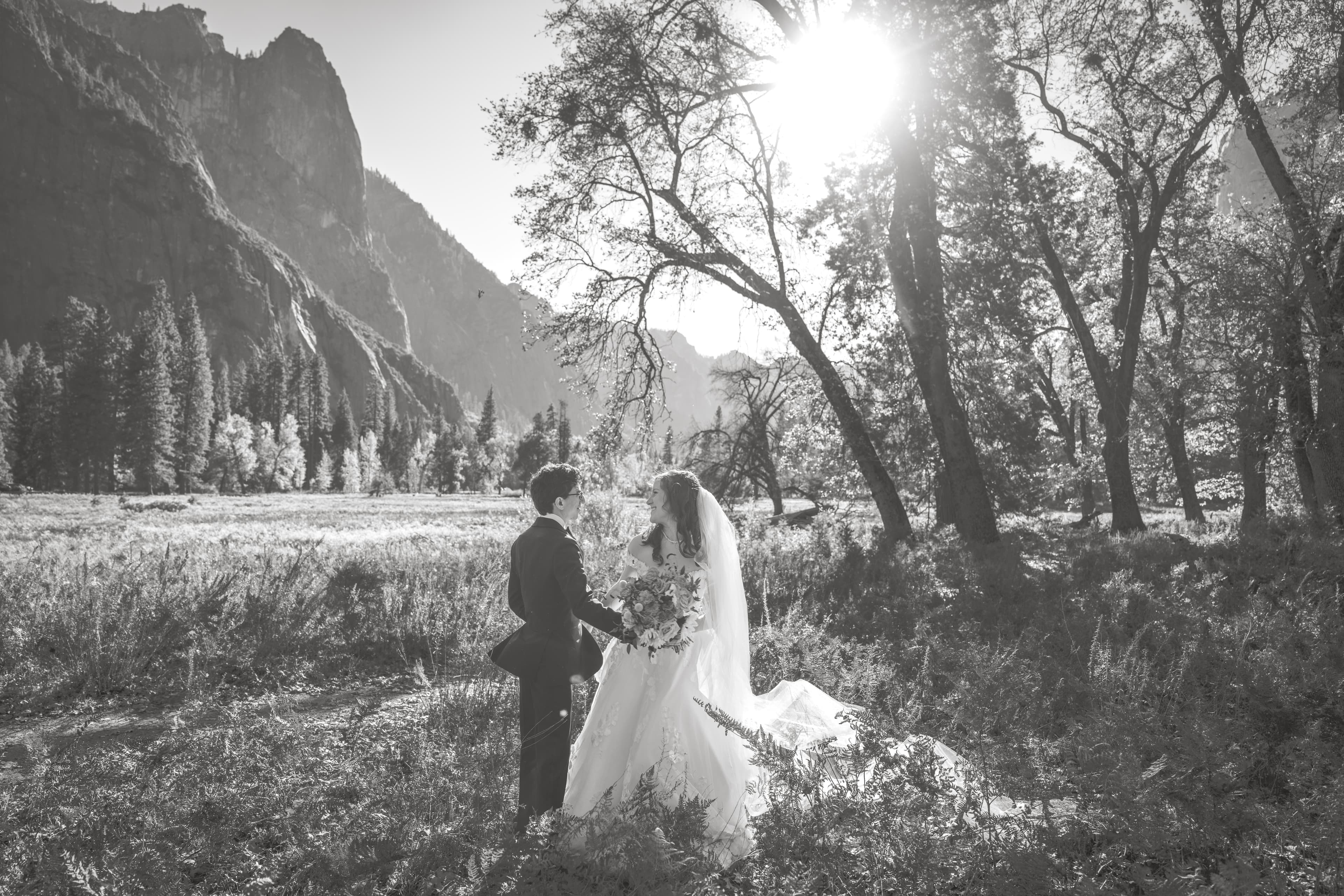 Adam and Steph Yosemite wedding — portrait in the Sierra Nevada landscape