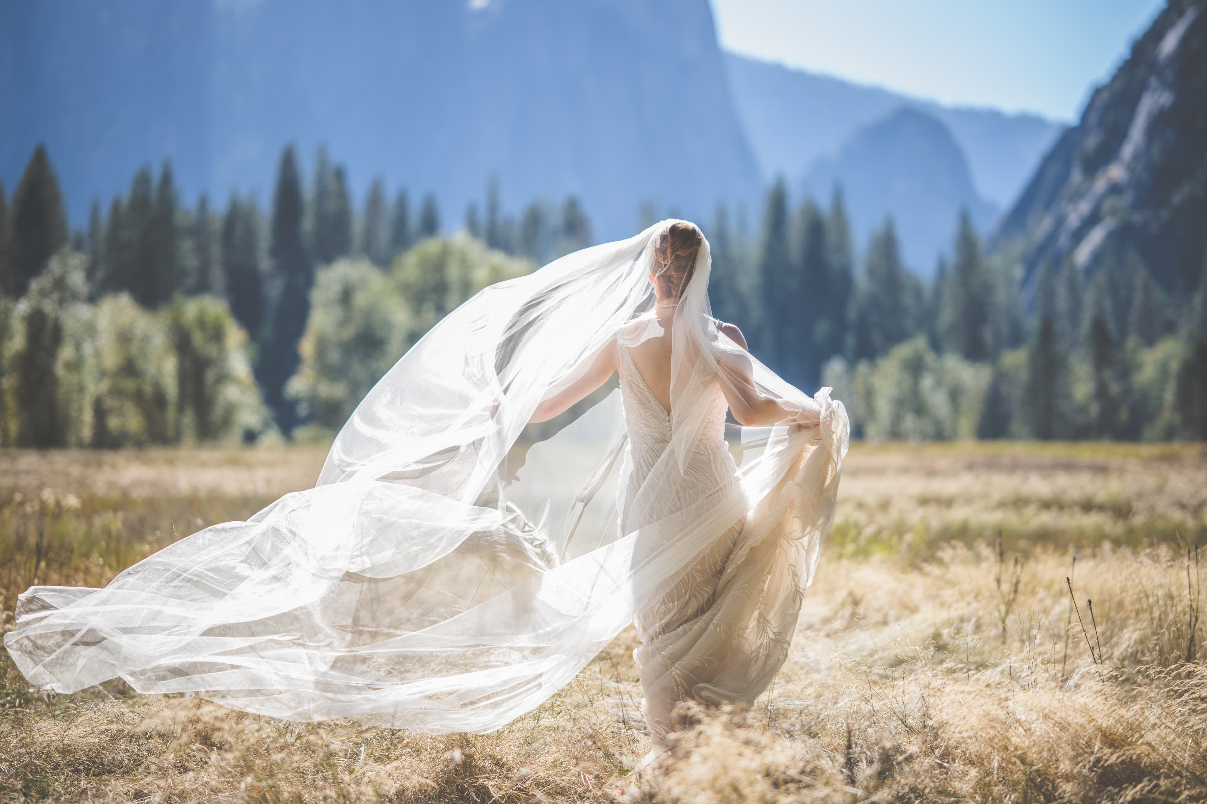 Lauren and Brian wedding — sneak peek moment in Yosemite National Park