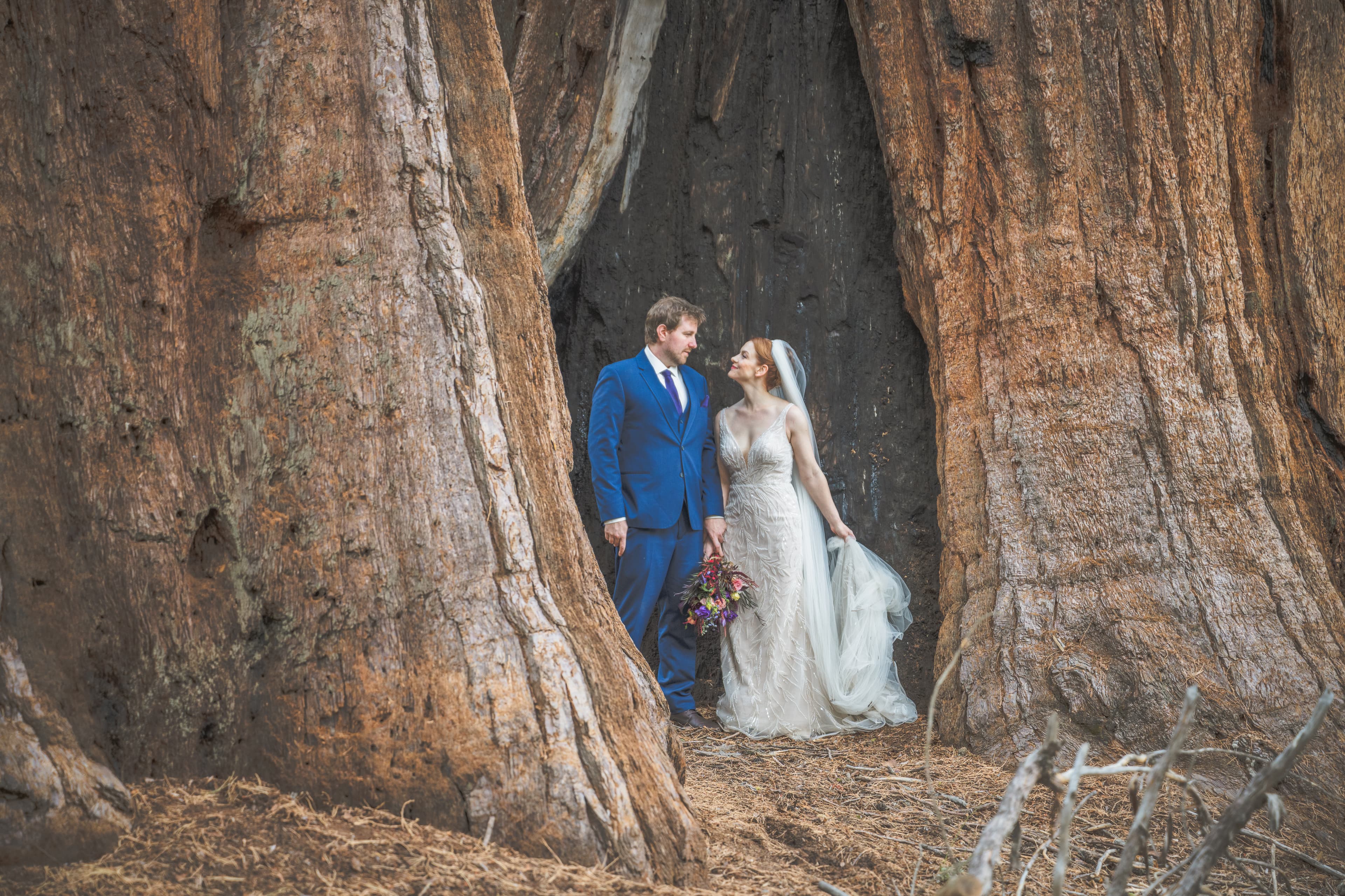 Lauren and Brian wedding — portrait session in Yosemite valley