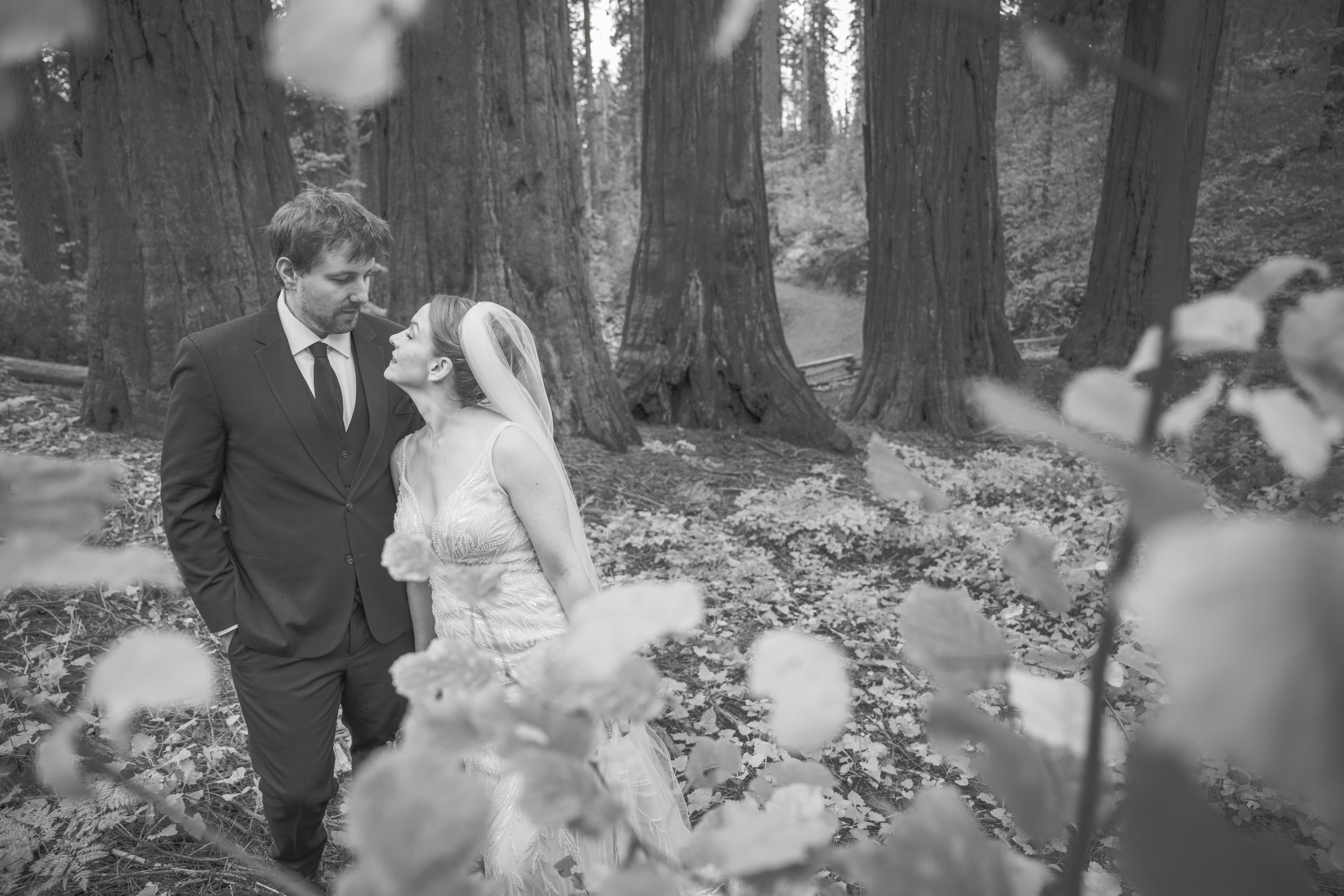 Lauren and Brian Yosemite wedding — romantic moment in the park